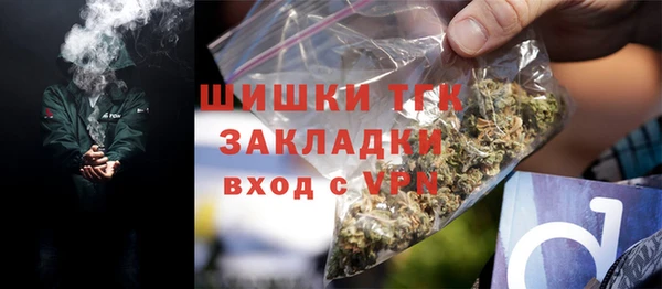 прущие грибы Гусев