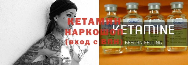 прущие грибы Гусев