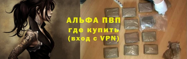 прущие грибы Гусев