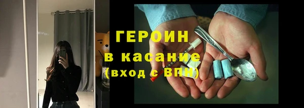 прущие грибы Гусев