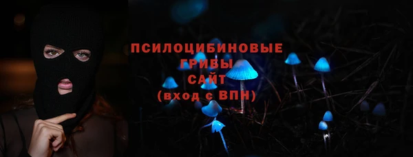 амф Гусиноозёрск