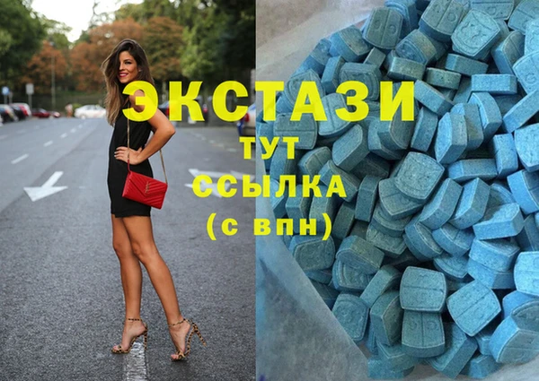амф Гусиноозёрск