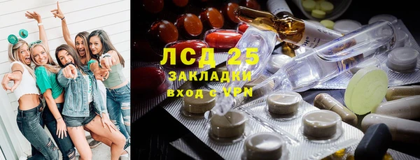 прущие грибы Гусев