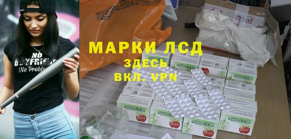 прущие грибы Гусев