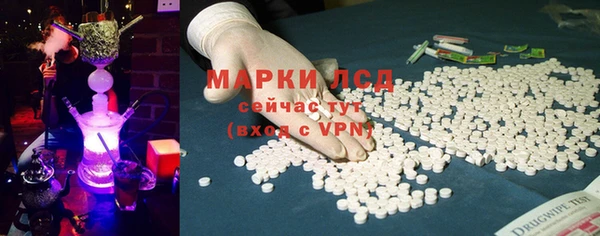 прущие грибы Гусев