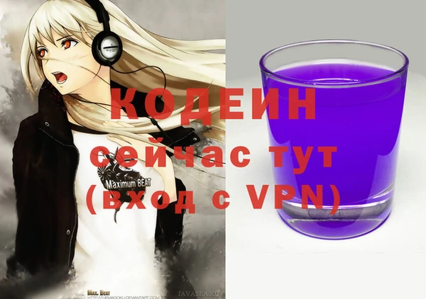 прущие грибы Гусев