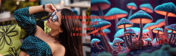 прущие грибы Гусев